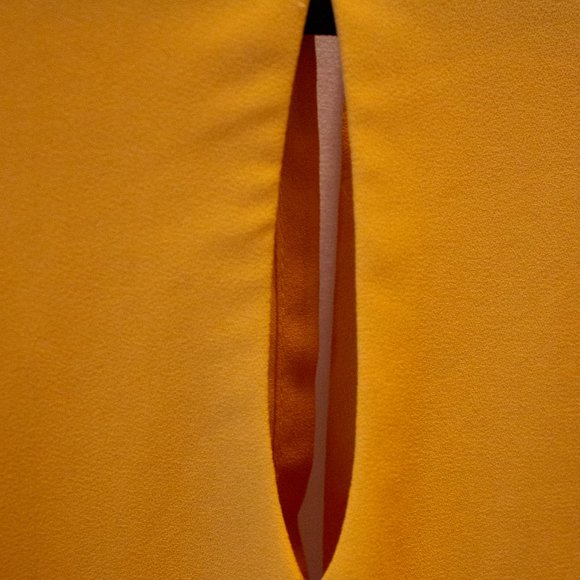 Mustard Yellow/Gold Short Sleeve Blouse - Picture 4 of 7